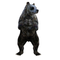 urso de ilustração 3D png