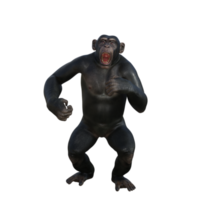 chimpansee 3d geven png