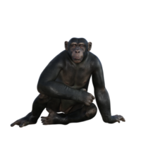 render 3d de chimpancé png