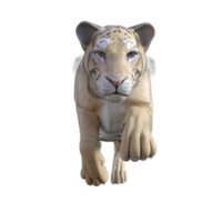 Tiger 3d model illustration png