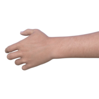 hands pose gesture 3d rendering png