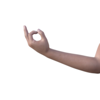 hands pose gesture 3d rendering png