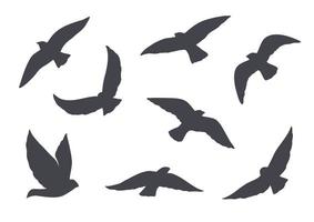 Set of vector birds silhouettes