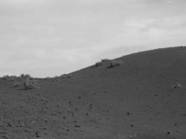 the island of Lanzarote photo