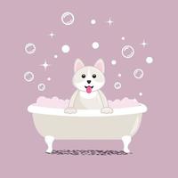 white dog takes a bath vector