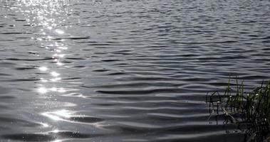 glare of sunlight on the surface of the lake water with small waves photo