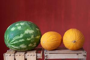 Two yellow ripe honeydew melons and one green watermelon lie side by side on wooden crates for fruit. The background is red. photo