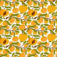 Endless apricot or peach print. Whole and cut fruit pattern. Background for printing on fabric, paper, packaging. Vector illustration, hand drawn