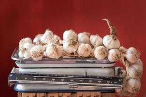 An old kitchen scale stands against a red background with space for text. On the scales is a braid with white garlic photo