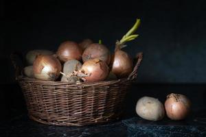 There is a small wicker basket in a kitchen. In the basket are potatoes and onions. The underground and the background are gray and dark. photo