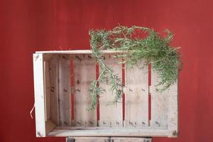 An empty rustic wooden box stands against a red background. On the box is a sprig of rosemary to dry photo