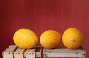 Three yellow ripe honeydew melons lie side by side on wooden crates for fruit. The background is red. photo