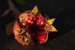 primer plano de una pequeña granada silvestre que se ha abierto. se pueden ver los granos de fruta individuales. la granada se encuentra sobre un fondo oscuro. foto