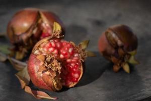 Close up of small wild pomegranates lying on an old weathered copper plate. The fruits have cracked open and you can see the red seeds. photo