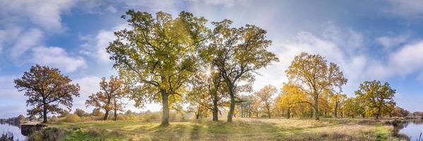 hermoso bosque otoñal o parque de robles con ramas torpes cerca del río en otoño dorado. panorama hdri con sol brillante brillando a través de los árboles. foto