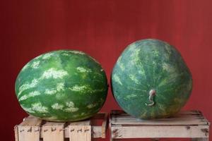 Two green watermelons lie side by side on wooden crates for fruit. The background is red. photo