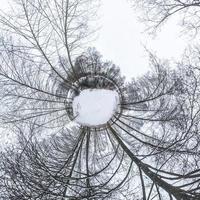 Winter tiny planet in snow covered forest. transformation of spherical panorama 360 degrees. Spherical abstract aerial view in forest. Curvature of space. photo