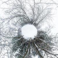 Winter tiny planet in snow covered forest. transformation of spherical panorama 360 degrees. Spherical abstract aerial view in forest. Curvature of space. photo