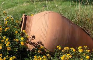 Close-up of a large clay jar lying in the middle of a bed of yellow small flowers against a green background in nature. photo