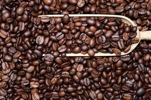 Close up, texture and background of roasted fresh coffee beans with a small wooden scoop in it photo