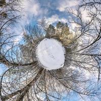 Winter tiny planet in snow covered forest. transformation of spherical panorama 360 degrees. Spherical abstract aerial view in forest. Curvature of space. photo