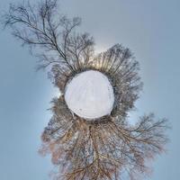 Winter tiny planet in snow covered forest in blue sky. transformation of spherical panorama 360 degrees. Spherical abstract aerial view in forest. Curvature of space. photo