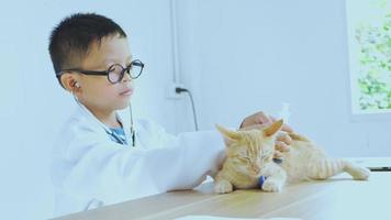 un niño asiático vestido de médico está tratando a un gato. video