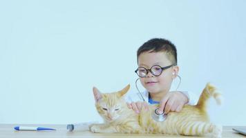 un niño asiático vestido de médico está tratando a un gato. video