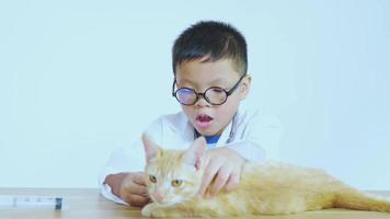 un niño asiático vestido de médico está tratando a un gato. video