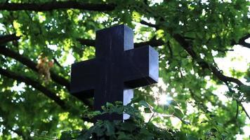 croix sainte brillante avec des rayons de soleil étincelants à travers le feuillage et le ciel brillent une lumière de foi spirituelle et de christianisme avec le symbole de la mort religieuse et de la résurrection des dieux dans la pierre tombale du cimetière au coucher du soleil video