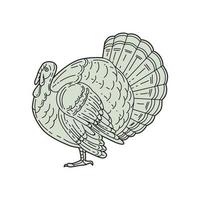 Wild Turkey Side Mono Line vector