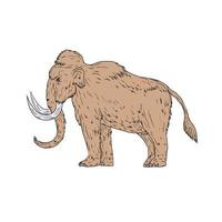 dibujo lateral de mamut lanudo