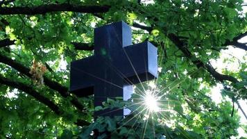 cruz sagrada brillante con rayos de sol brillantes a través del follaje y el cielo brilla una luz de fe espiritual y cristianismo con símbolo de muerte religiosa y resurrección de dioses en la tumba del cementerio al atardecer video