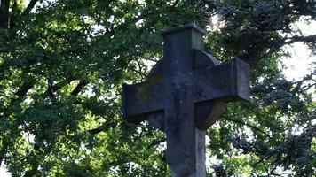 cruz sagrada brillante con rayos de sol brillantes a través del follaje y el cielo brilla una luz de fe espiritual y cristianismo con símbolo de muerte religiosa y resurrección de dioses en la tumba del cementerio al atardecer video