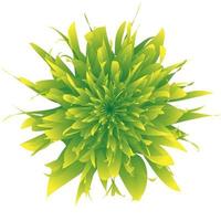 beautiful green flower illustration on white background vector
