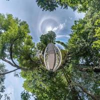 tiny planet transformation of spherical panorama 360 degrees. Spherical abstract aerial view in forest near lake. Curvature of space. photo