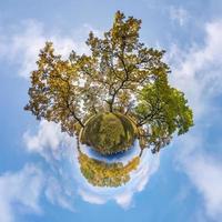 tiny planet transformation of spherical panorama 360 degrees. Spherical abstract aerial view in oak grove with clumsy branches in gold autumn near river. Curvature of space. photo