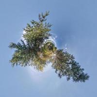 green tiny planet transformation of spherical panorama 360 degrees. Spherical abstract aerial view on forest. Curvature of space. photo