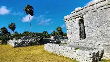 antiguo tulum ruinas maya sitio templo pirámides artefactos paisaje marino méxico. video