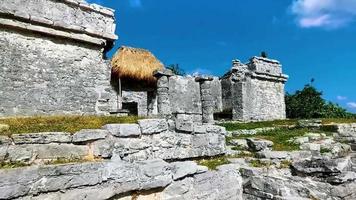 antiche rovine di tulum sito maya tempio piramidi manufatti vista sul mare messico. video