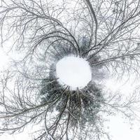 Winter tiny planet in snow covered forest. transformation of spherical panorama 360 degrees. Spherical abstract aerial view in forest. Curvature of space. photo