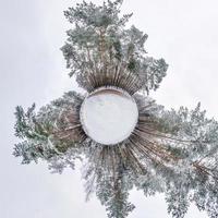 Winter tiny planet in snow covered pinery forest. transformation of spherical panorama 360 degrees. Spherical abstract aerial view in forest. Curvature of space. photo