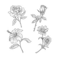 Realistic Hand Drawn Floral vector
