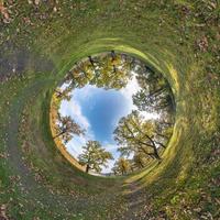 inversión de la transformación del pequeño planeta del panorama esférico de 360 grados. vista aérea abstracta esférica en robledal con ramas torpes en otoño dorado. curvatura del espacio. foto