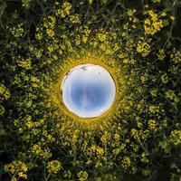 blue sky ball surrounded by yellow rapessed flowers. Inversion of tiny planet transformation of spherical panorama 360 degrees. Curvature of space. photo