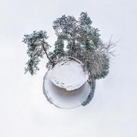 Winter tiny planet in snow covered pinery forest near lake with transformation of spherical panorama 360 degrees in abstract aerial view in forest. Curvature of space photo