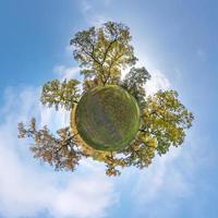 tiny planet transformation of spherical panorama 360 degrees. Spherical abstract aerial view in oak grove with clumsy branches in gold autumn. Curvature of space. photo