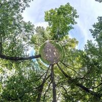 Little planet transformation of spherical panorama 360 degrees. Spherical abstract aerial view in forest. Curvature of space. photo