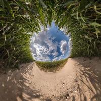 Inversion of blue tiny planet transformation of spherical panorama 360 degrees. Spherical abstract aerial view on corn field with awesome beautiful clouds. Curvature of space. photo
