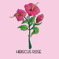 ilustración de flor de hibisco tropical. planta exótica decorativa. plantillas florales con flores de jardín vector